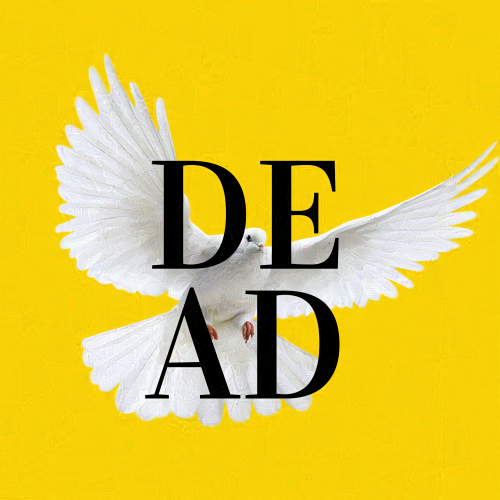 Dead Dove